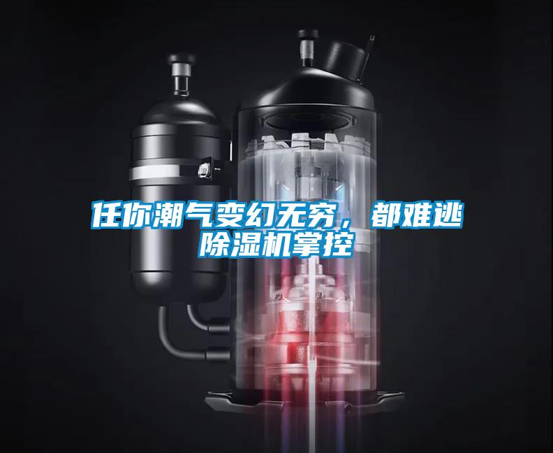 任你潮氣變幻無(wú)窮，都難逃除濕機(jī)掌控