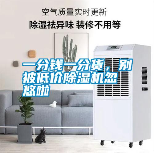 一分錢一分貨，別被低價除濕機(jī)忽悠啦