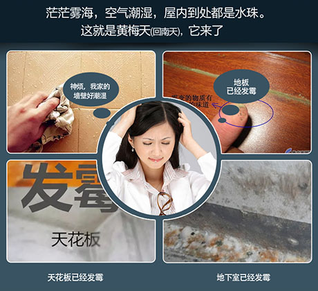 家庭別墅的地下室、衛(wèi)生間、儲(chǔ)物室等該如何除濕？