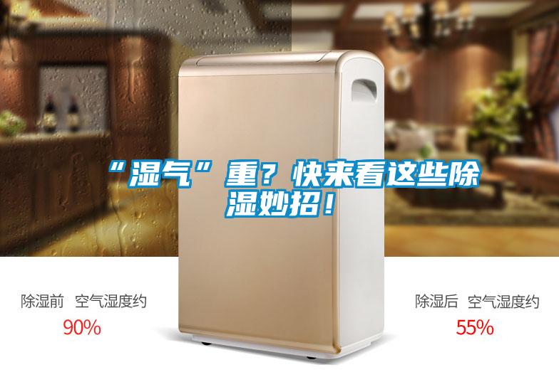 “濕氣”重？快來看這些除濕妙招！