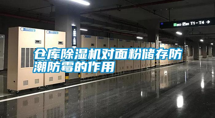 倉庫除濕機(jī)對(duì)面粉儲(chǔ)存防潮防霉的作用