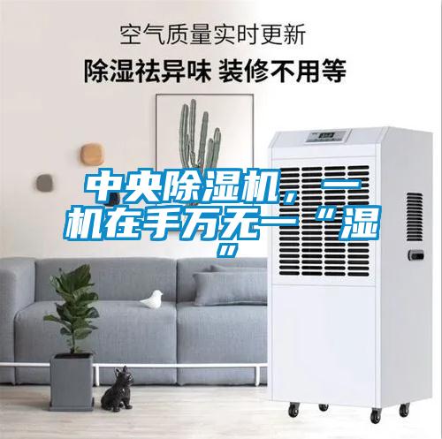 中央除濕機(jī)，一機(jī)在手萬無一“濕”