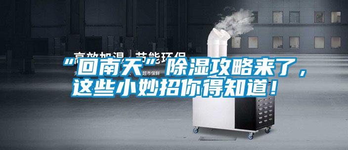 “回南天”除濕攻略來了，這些小妙招你得知道！