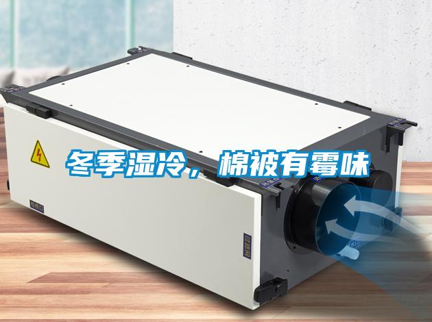 冬季濕冷，棉被有霉味