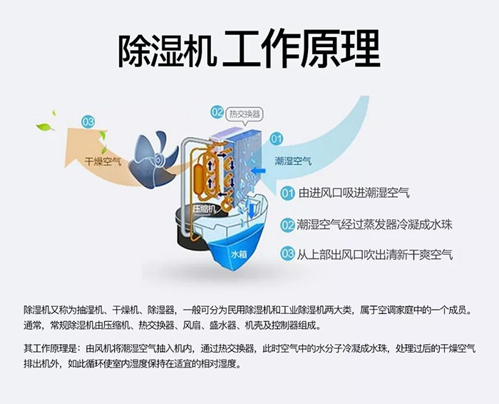 潮濕天氣狗最容易患上這種毛?。∪齻€(gè)注意事項(xiàng)，鏟屎官一定要看看