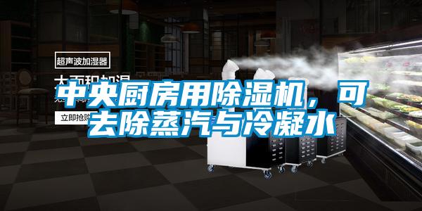 中央廚房用除濕機(jī)，可去除蒸汽與冷凝水