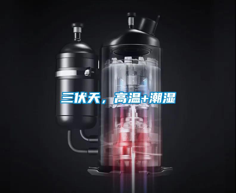 三伏天，高溫+潮濕