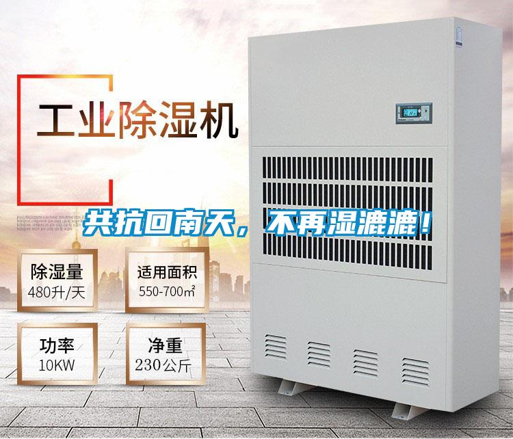 共抗回南天，不再濕漉漉！