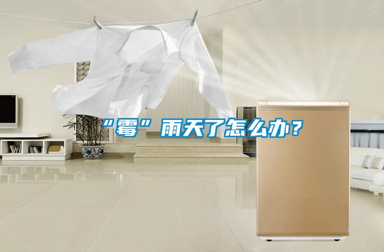 “霉”雨天了怎么辦？