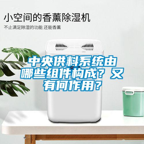 中央供料系統(tǒng)由哪些組件構成？又有何作用？