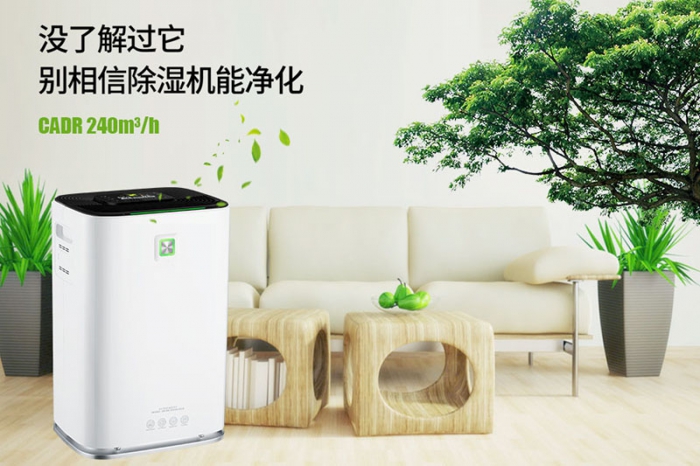 一到回南天狗狗就感冒+皮膚病，怎么辦？