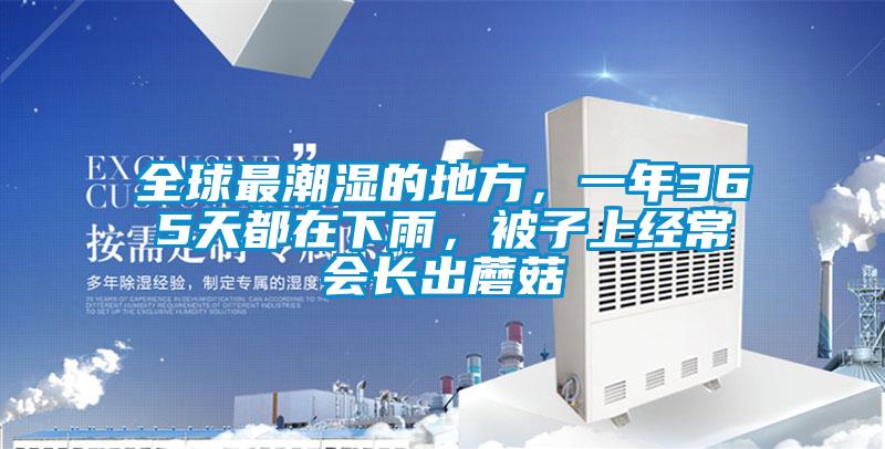 全球最潮濕的地方，一年365天都在下雨，被子上經(jīng)常會長出蘑菇