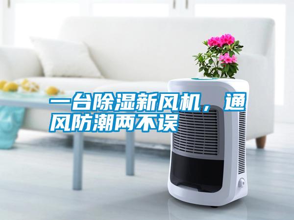 一臺除濕新風(fēng)機(jī)，通風(fēng)防潮兩不誤