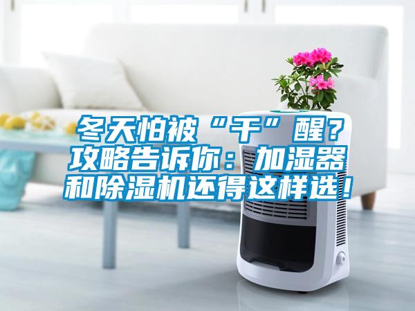 冬天怕被“干”醒？攻略告訴你：加濕器和除濕機(jī)還得這樣選！