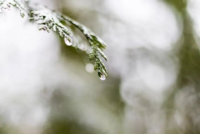 空氣濕度大帶來(lái)的危害有哪些，你知道嗎？