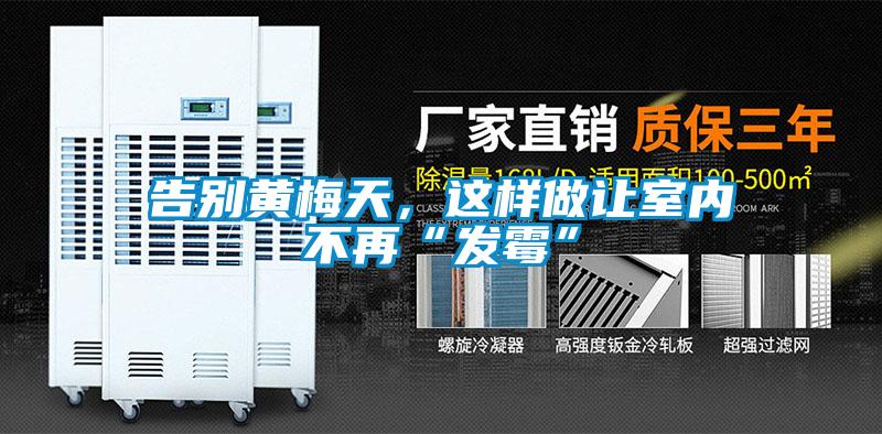 告別黃梅天，這樣做讓室內(nèi)不再“發(fā)霉”