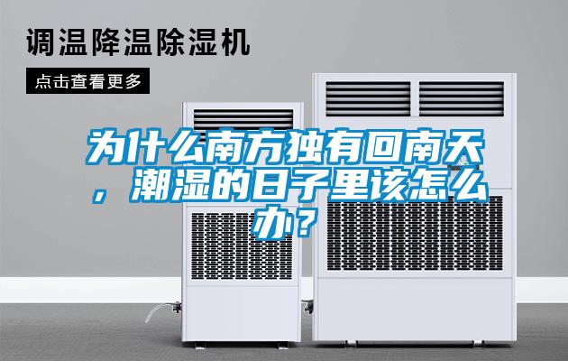 為什么南方獨有回南天，潮濕的日子里該怎么辦？