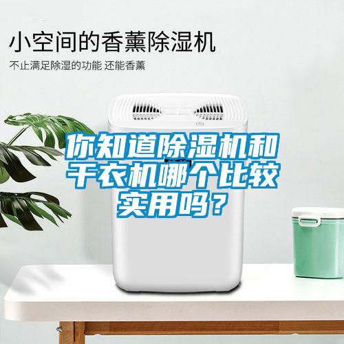 你知道除濕機(jī)和干衣機(jī)哪個(gè)比較實(shí)用嗎？