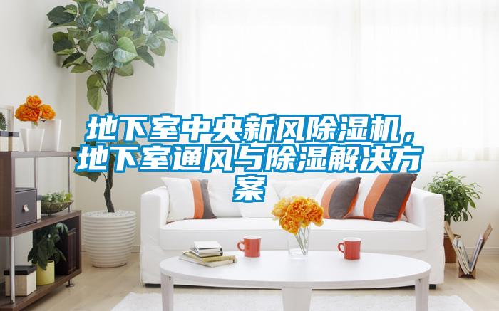 地下室中央新風(fēng)除濕機(jī)，地下室通風(fēng)與除濕解決方案
