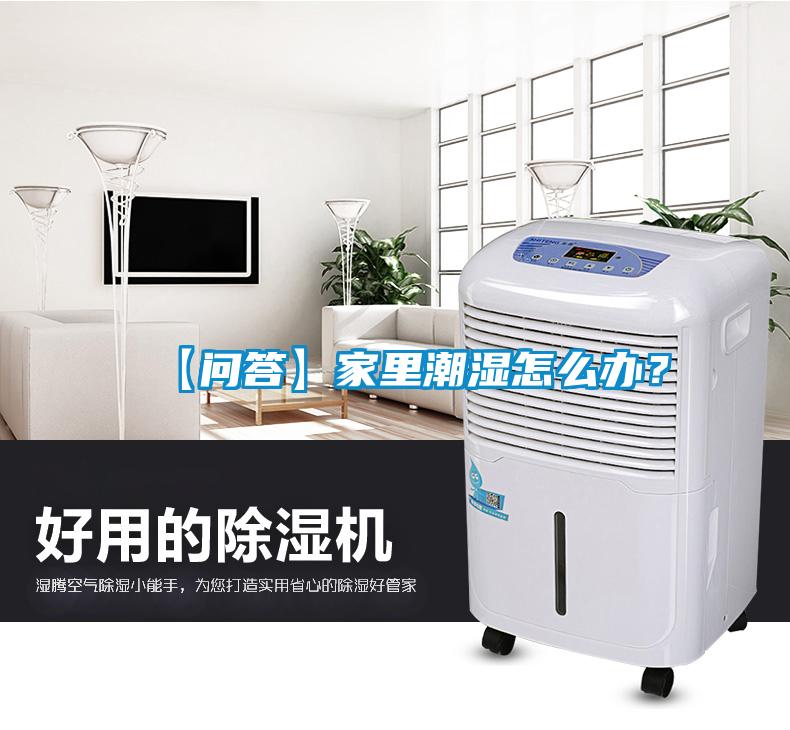 【問(wèn)答】家里潮濕怎么辦？