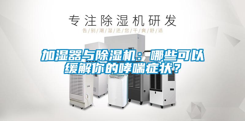 加濕器與除濕機：哪些可以緩解你的哮喘癥狀？
