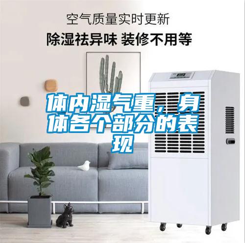 體內(nèi)濕氣重，身體各個部分的表現(xiàn)