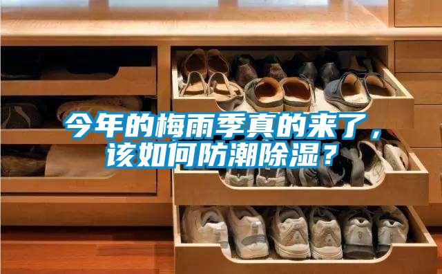 今年的梅雨季真的來了，該如何防潮除濕？