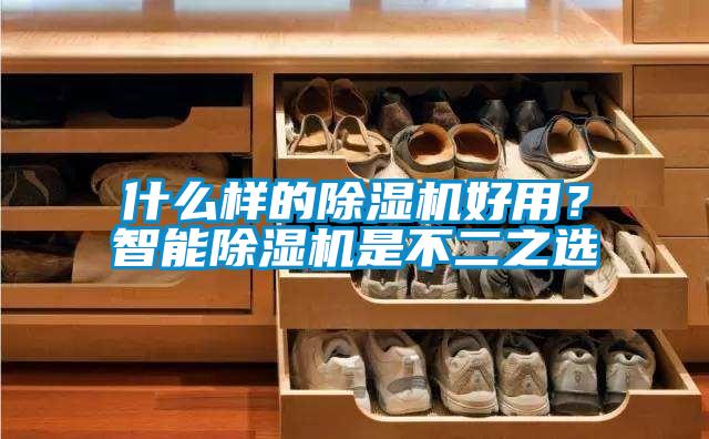 什么樣的除濕機好用？智能除濕機是不二之選
