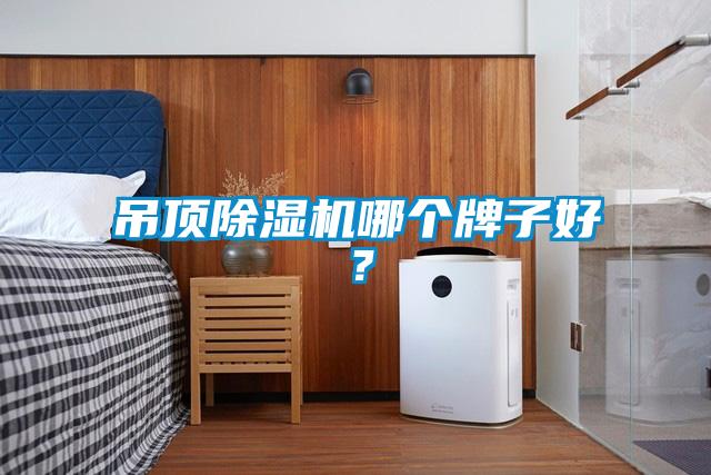 吊頂除濕機(jī)哪個(gè)牌子好？