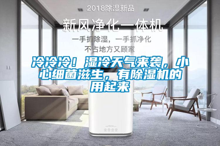 冷冷冷！濕冷天氣來襲，小心細(xì)菌滋生，有除濕機的用起來