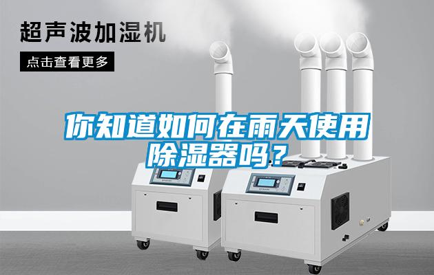 你知道如何在雨天使用除濕器嗎？