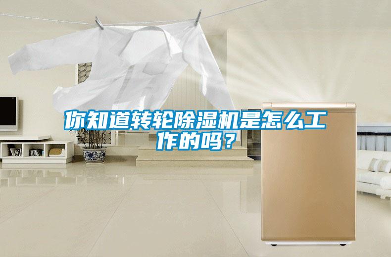 你知道轉(zhuǎn)輪除濕機(jī)是怎么工作的嗎？