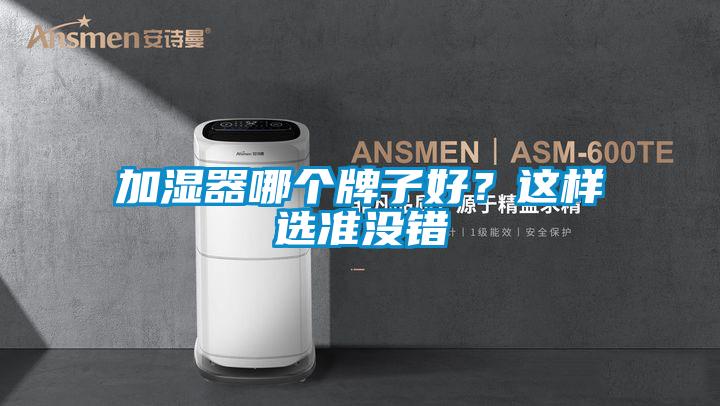 加濕器哪個牌子好？這樣選準(zhǔn)沒錯