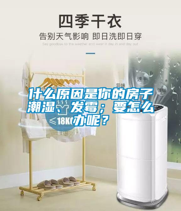 什么原因是你的房子潮濕、發(fā)霉；要怎么辦呢？