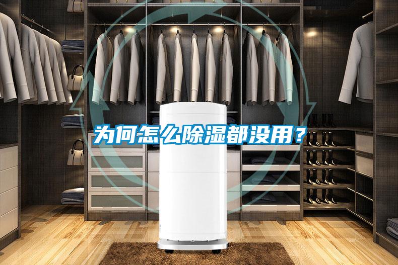 為何怎么除濕都沒用？