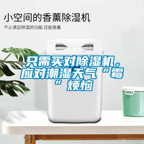 只需買對(duì)除濕機(jī)，應(yīng)對(duì)潮濕天氣“霉”煩惱