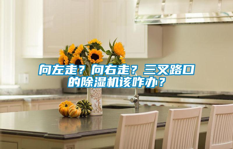 向左走？向右走？三叉路口的除濕機該咋辦？