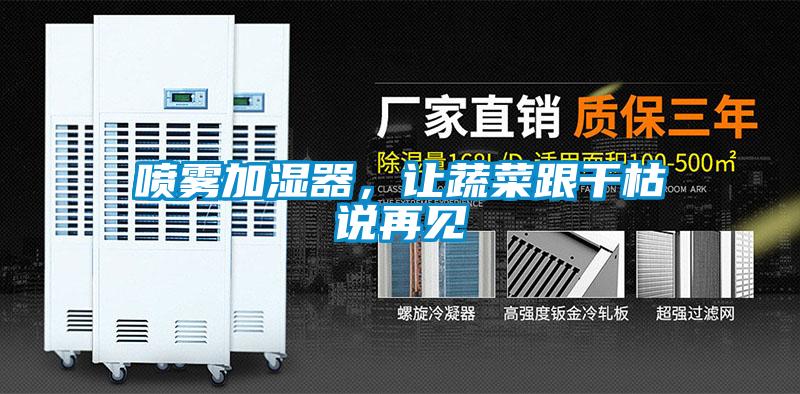 噴霧加濕器，讓蔬菜跟干枯說再見