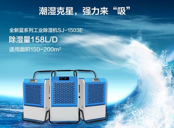寵物倉鼠到底怕不怕梅雨季的潮濕天氣？
