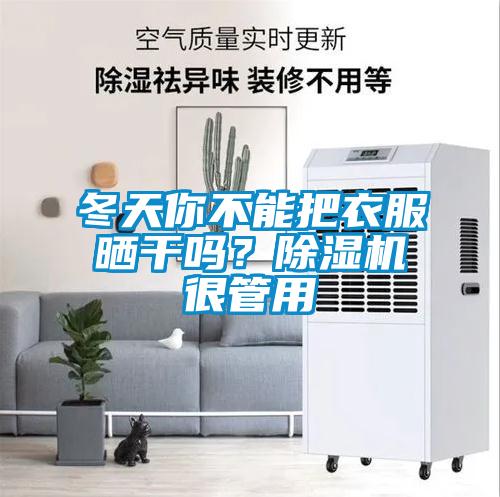 冬天你不能把衣服曬干嗎？除濕機(jī)很管用