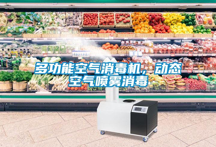 多功能空氣消毒機，動態(tài)空氣噴霧消毒