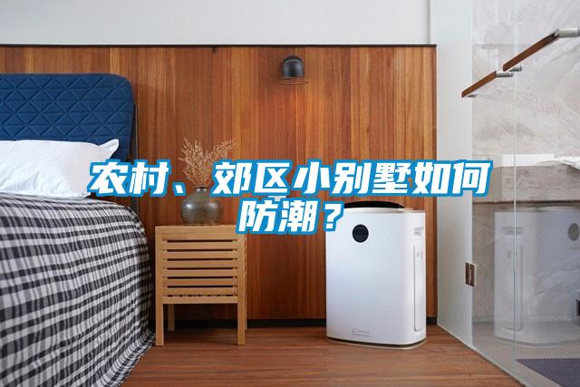 農(nóng)村、郊區(qū)小別墅如何防潮？