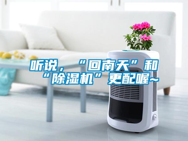 聽說，“回南天”和“除濕機”更配喔~
