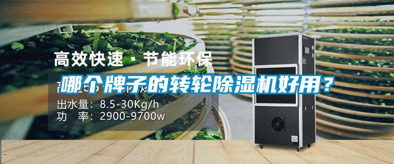 哪個(gè)牌子的轉(zhuǎn)輪除濕機(jī)好用？