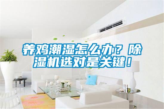 養(yǎng)雞潮濕怎么辦？除濕機選對是關鍵！