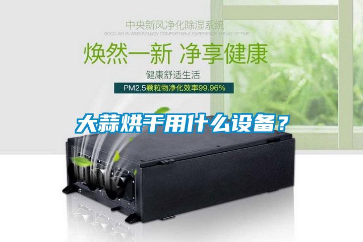 大蒜烘干用什么設(shè)備？