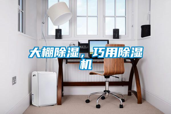 大棚除濕，巧用除濕機(jī)