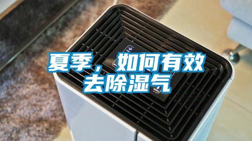 夏季，如何有效去除濕氣