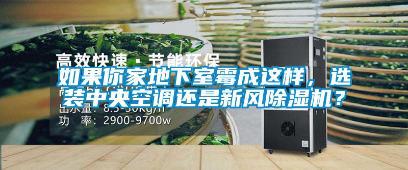 如果你家地下室霉成這樣，選裝中央空調(diào)還是新風(fēng)除濕機(jī)？