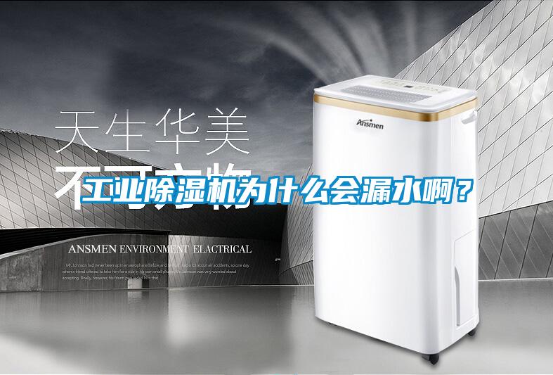 工業(yè)除濕機(jī)為什么會(huì)漏水??？
